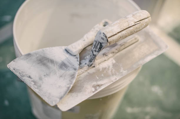 Best Emergency Mold Remediation  in Marist College, NY